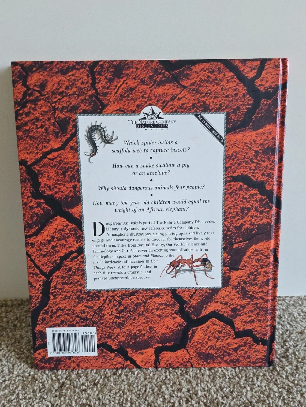 Children's Animal Book Set Dangerous Animals, Elephants, Bears, Giraffes, Rhinos